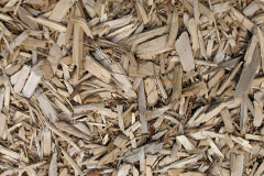 biomass boilers Privett